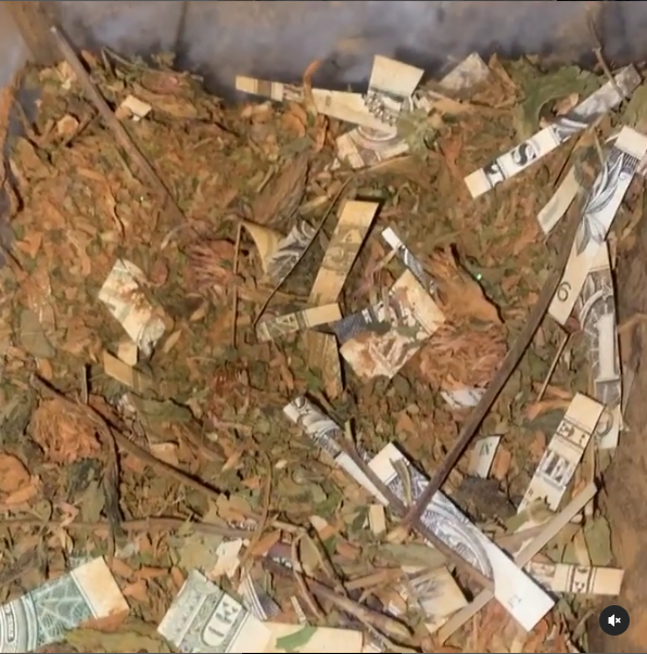 Abundance Fairy Dust