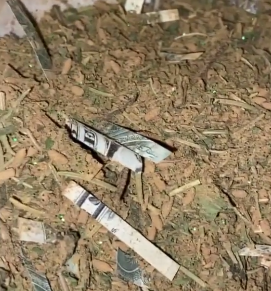 Abundance Fairy Dust