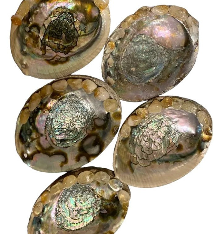 Citrine Crusted Large Abalone Shell